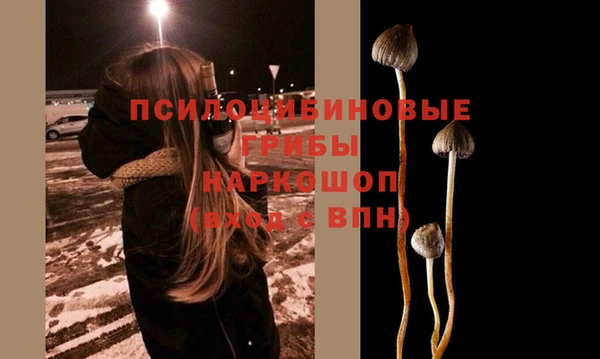 сатива Армянск