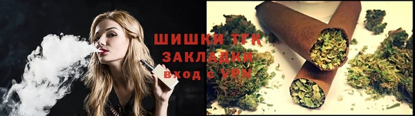 шишки Аркадак