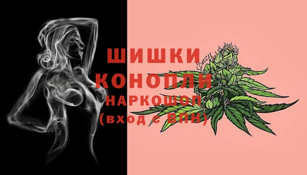 шишки Аркадак