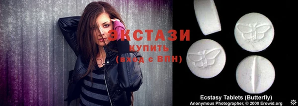шишки Аркадак