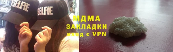 шишки Аркадак