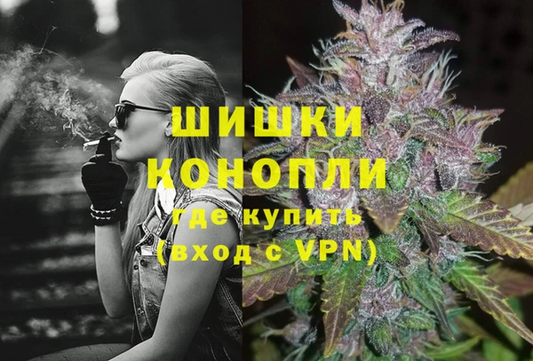 сатива Армянск