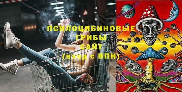 шишки Аркадак
