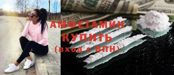 шишки Аркадак