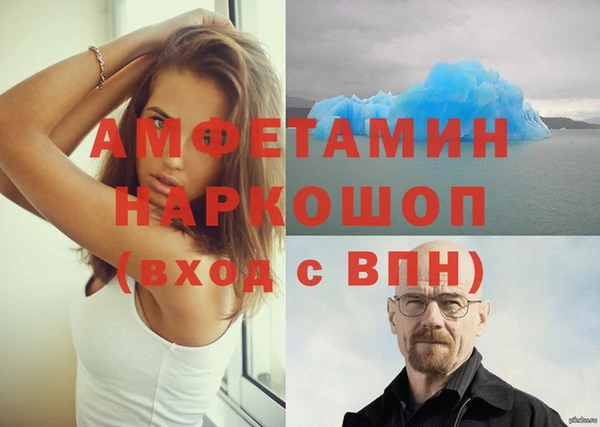 шишки Аркадак